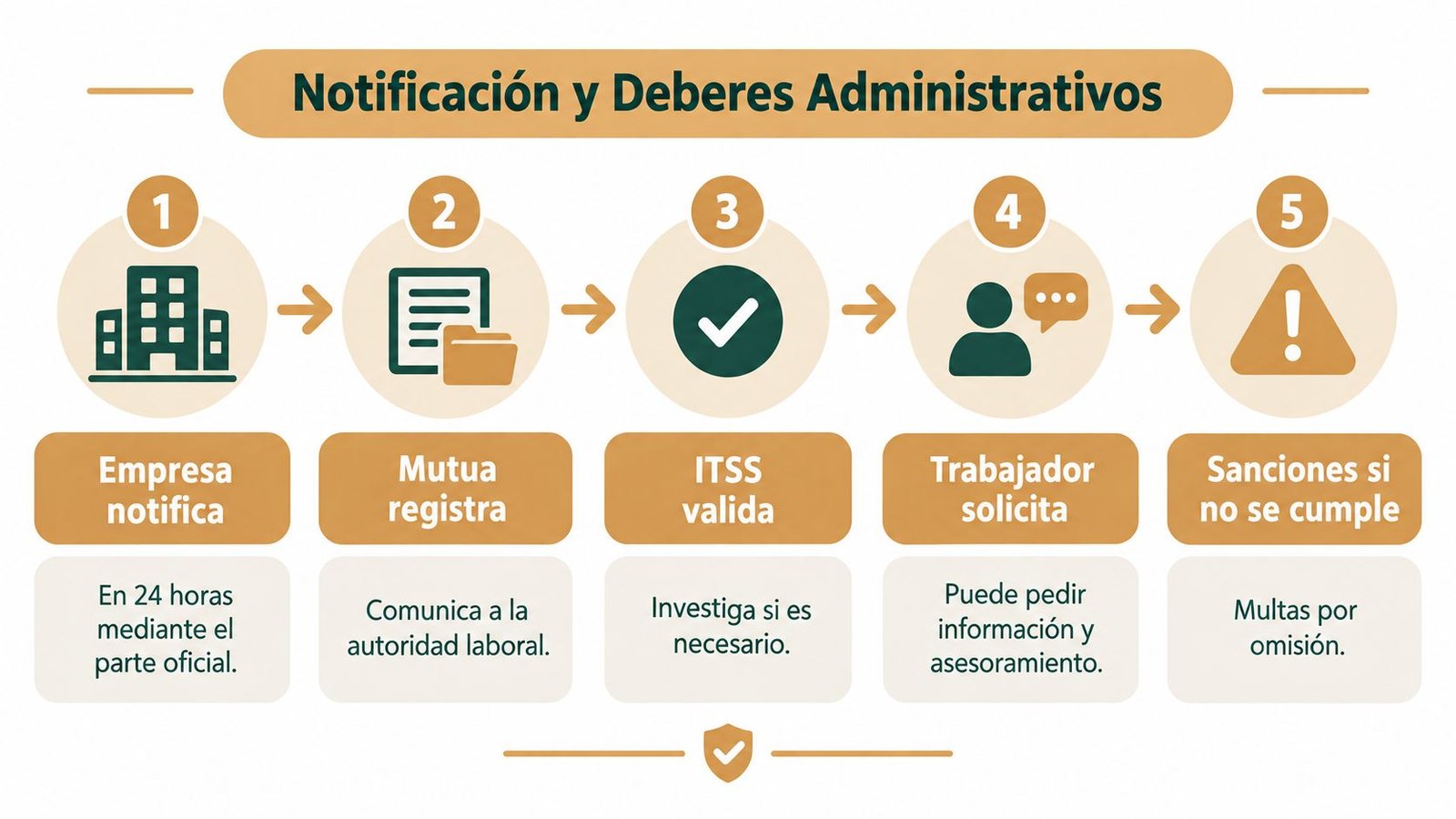 Infografía sobre el proceso administrativo de notificación de accidentes laborales, pasos y deberes legales correspondientes.